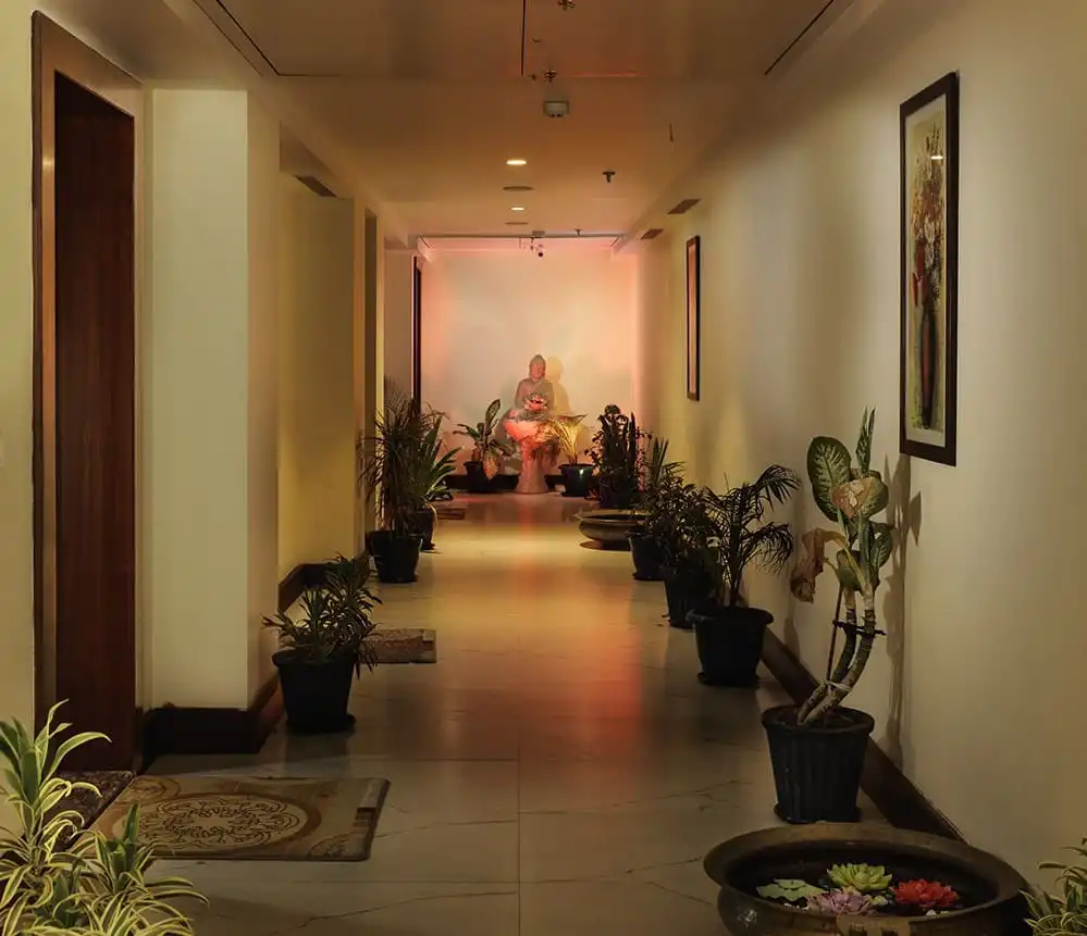 Best Hotel and Best Wedding Venues in Chhattisgarh Best Hotel and Best Wedding Venues in Chhattisgarh